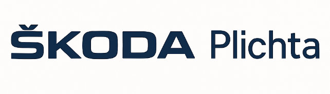 Czyszczenie kanapy samochodowej dla firmy Skoda Plichta w Gdańsku