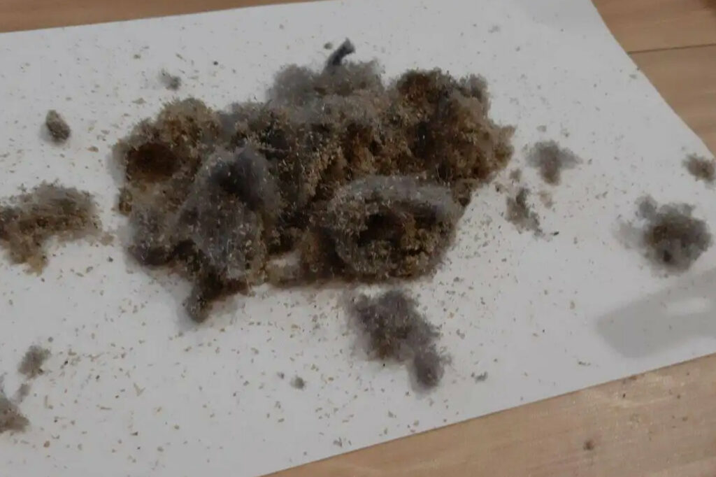 Czyszczenie dywanów - usuwanie kurzu