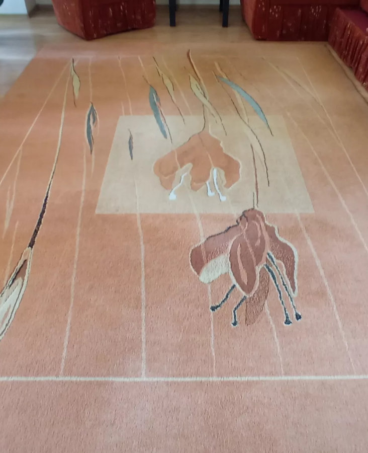 Czyszczenie dywanów w Gdańsku i Gdyni