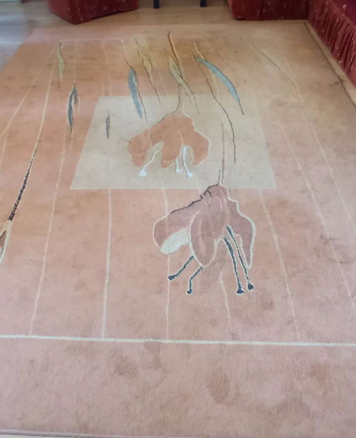 Czyszczenie dywanów w Gdyni