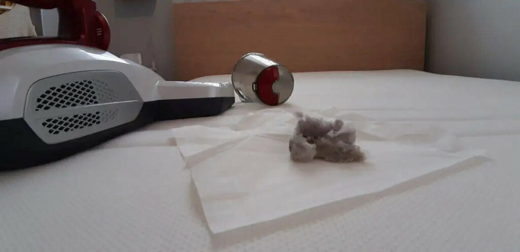 Czyszczenie kanapy z plam i kurzu