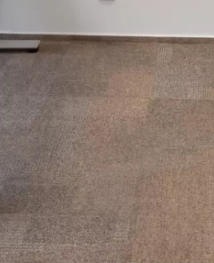 Mobilne pranie wykładzin - Gdańsk