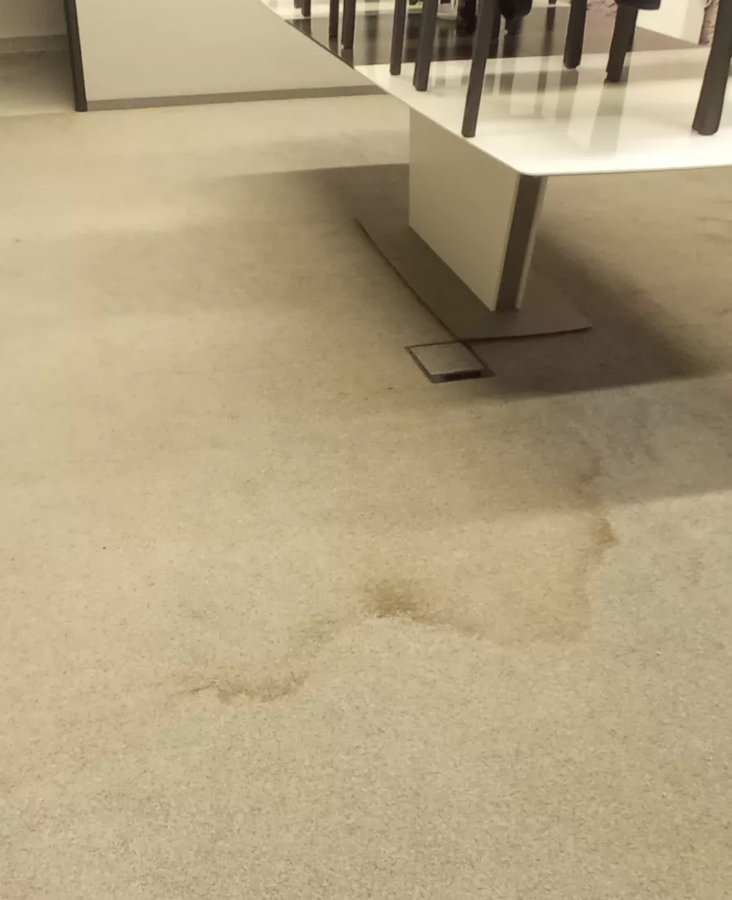 Turboszczotka - Pranie wykładziny w Gdańsku