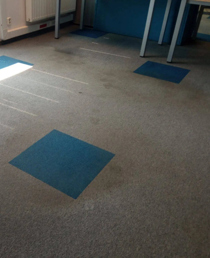 Skuteczne pranie wykładzin - Gdynia