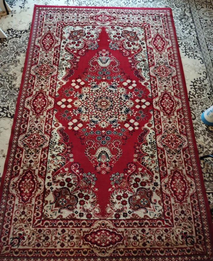 Specjalista od prania dywanów