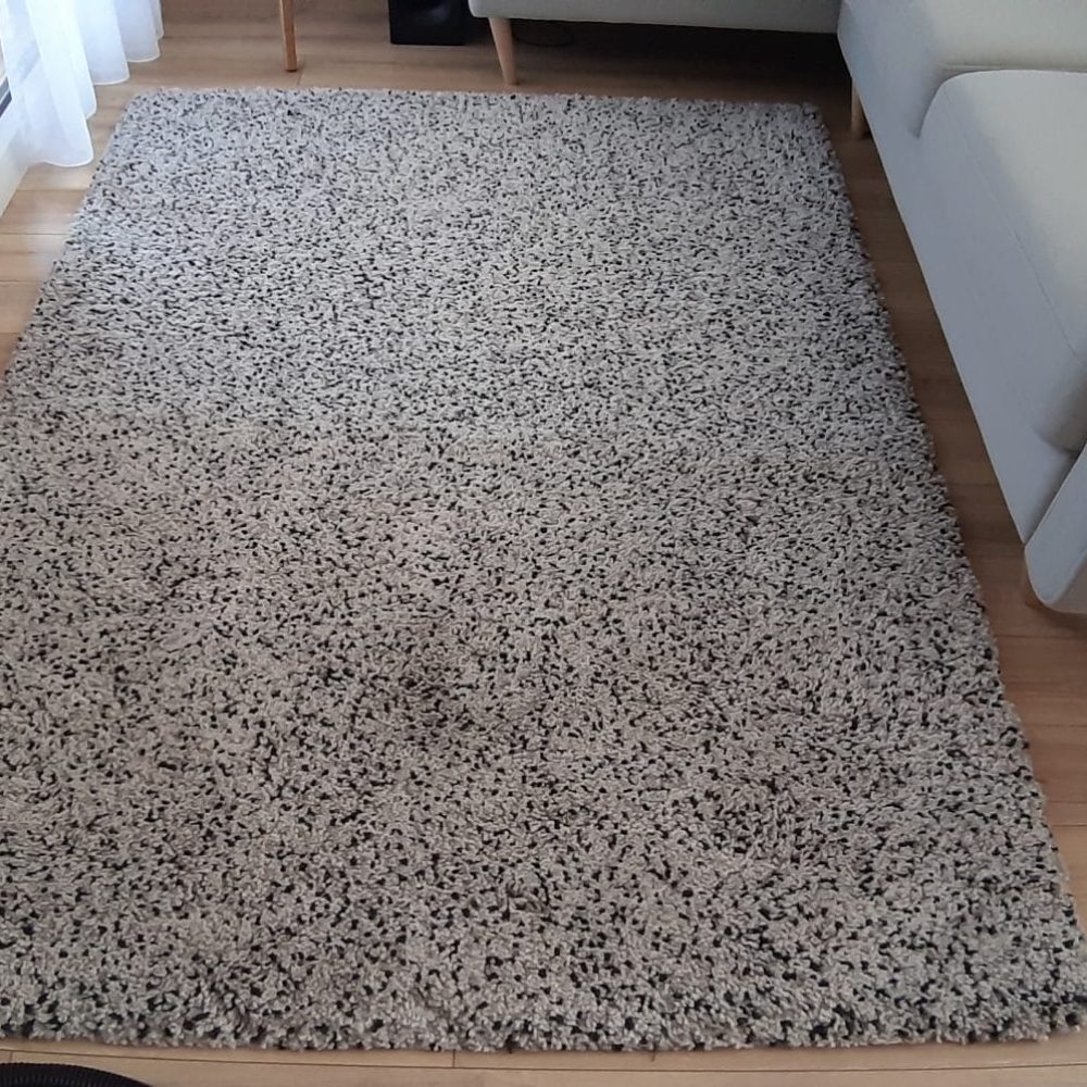 pranie dywanów Gdańsk Łostowice przed praniem Turboszczotka