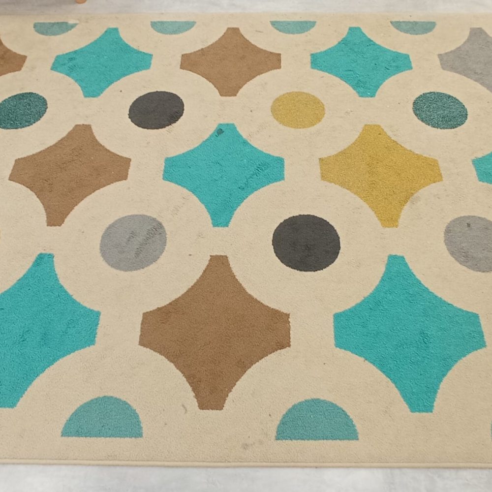 pranie-dywanów-gdańsk-letnica-przed=praniem-Turboszczotka