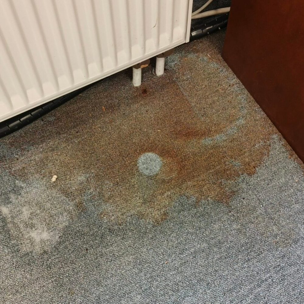 pranie-wykładzin-Gdańsk-Zaspa-plama-z-rdzy-Turboszczotka