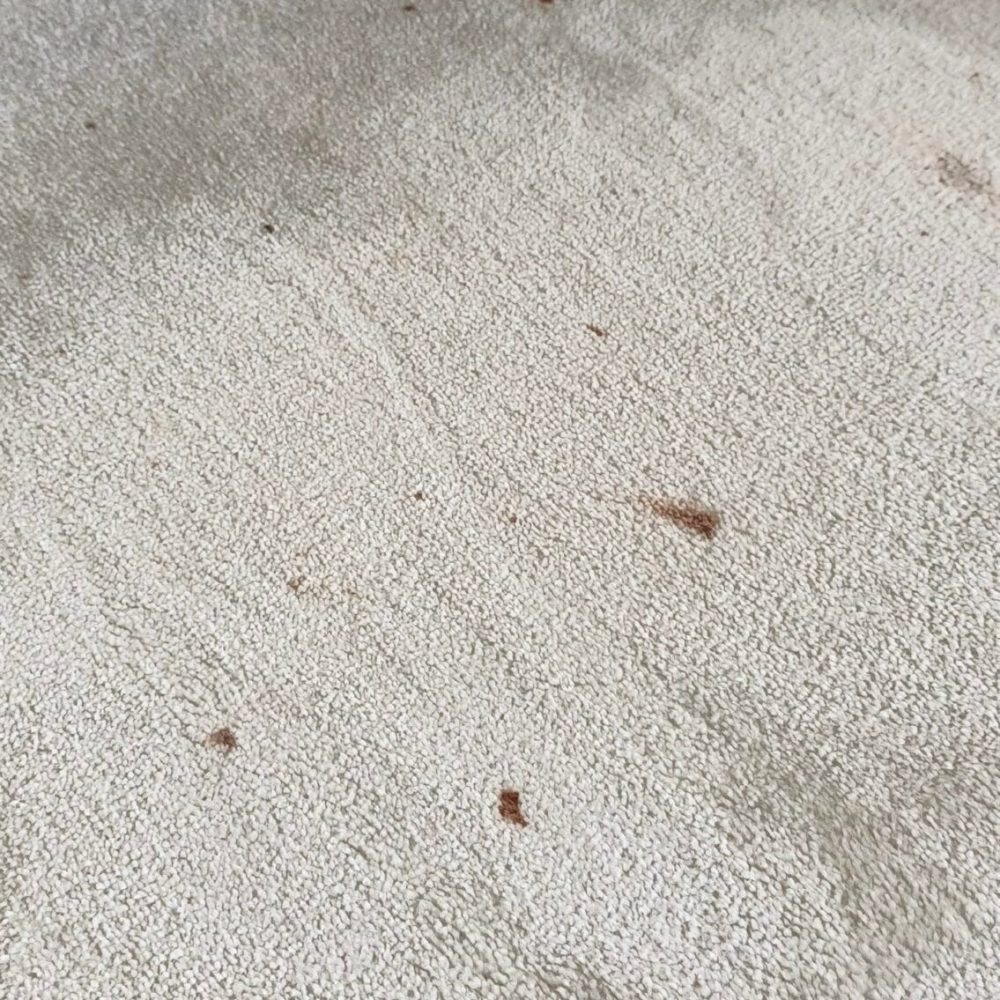 pranie-wykładziny-Gdańsk-Przymorze-Przed-Turboszczotka