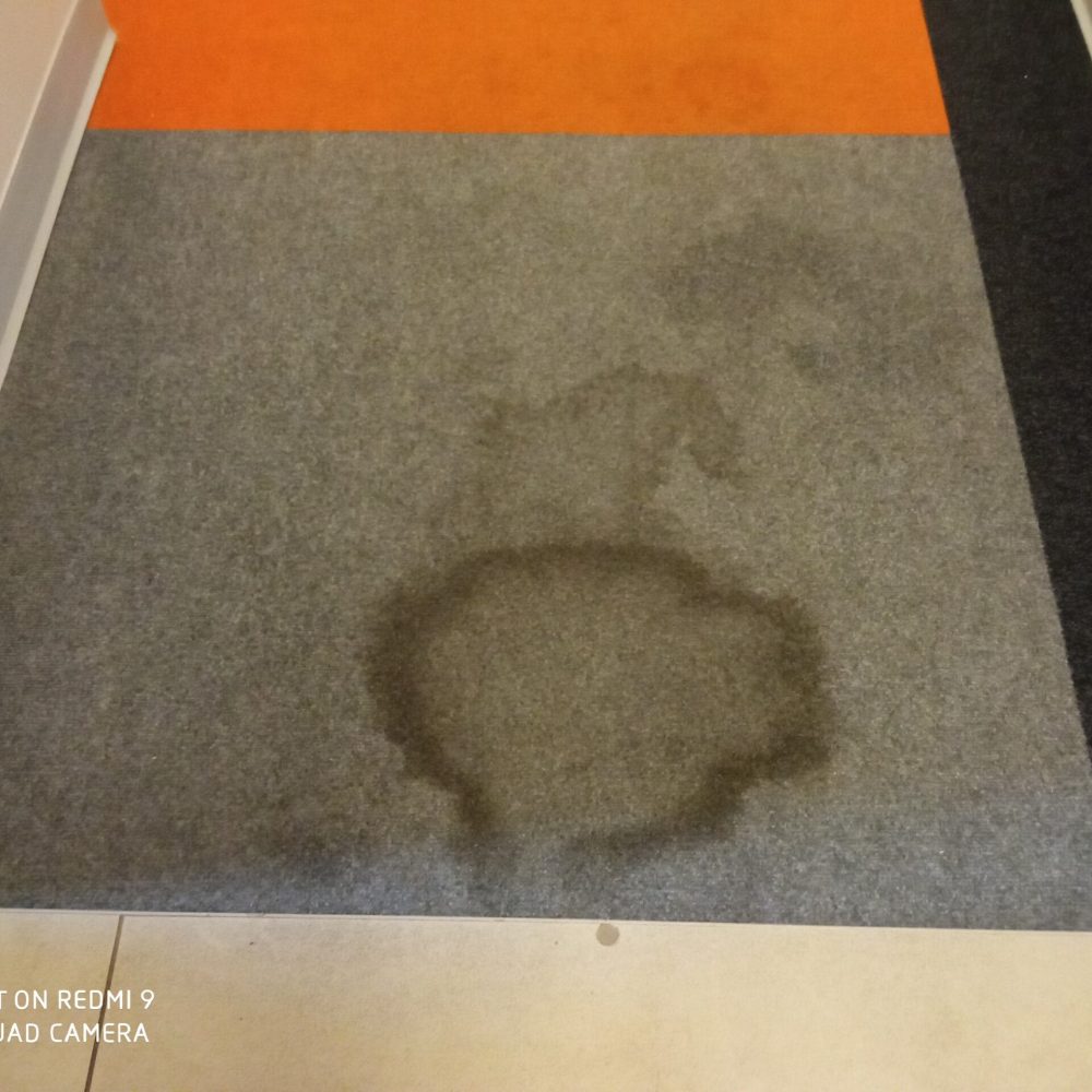 pranie-wykładziny-Gdańsk-Przymorze-Przed-usunięciem-Plamy-Turboszczotka